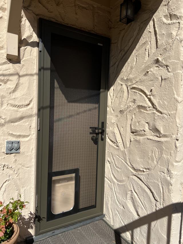 Olive-bronze hinged security screen door with a built-in pet door, set in a textured stucco wall