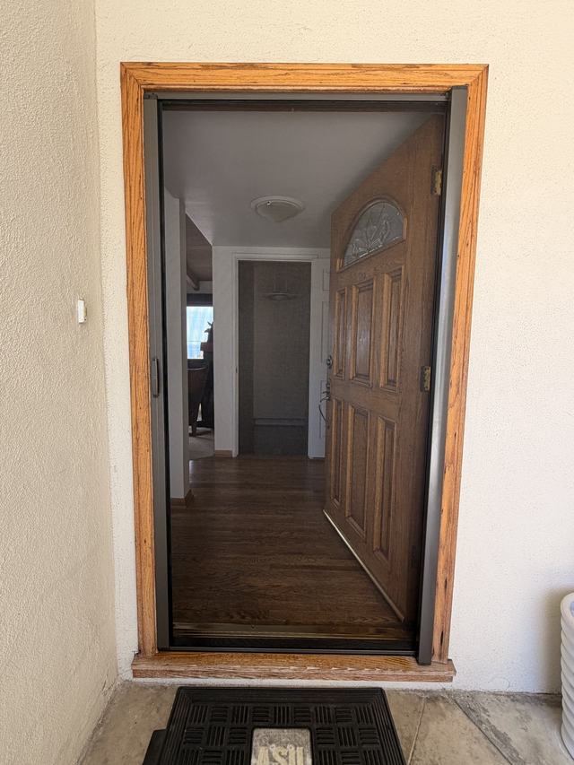 Single retractable screen drawn across an open wooden front door